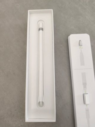 Apple Pencil 1ª Gen