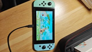 Nintendo Switch versione animal crossing completa