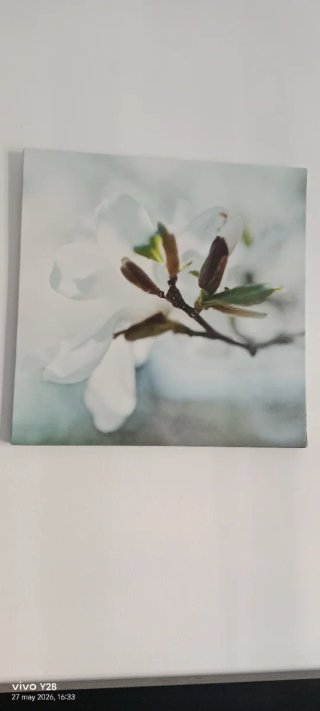 Set di 3 quadri su tela con fiori bianchi
