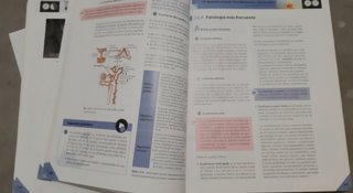 Técnicas básicas de enfermería Grado Medio FP