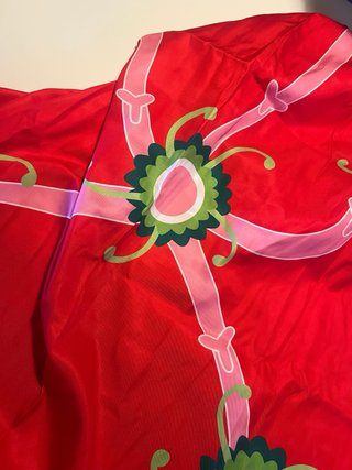 Cosplay Boa Hancock One Piece Taglia Unica