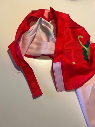 Cosplay Boa Hancock One Piece Taglia Unica