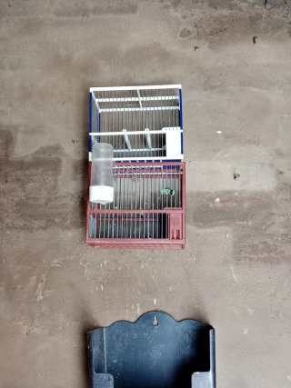 Jaulas para pájaros (2 unidades)