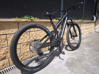 Canyon Neuron: ONfly CF 8 EBIKE