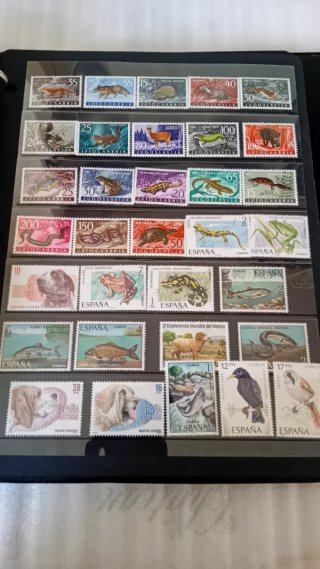 GRAN COLECCIÓN DE SELLOS CON CARPETA ARCHIVADORA