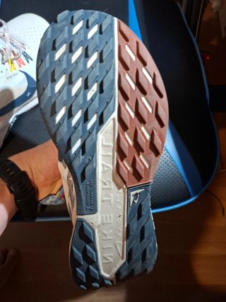 Zapatillas Nike Trail Hombre