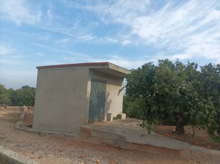 Campo de naranjos