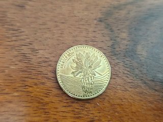 Lote de monedas española y extranjeras