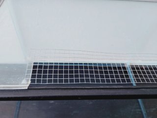 Acuario/Terrario/Hormiguero de cristal