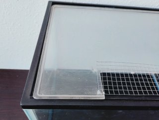 Acuario/Terrario/Hormiguero de cristal