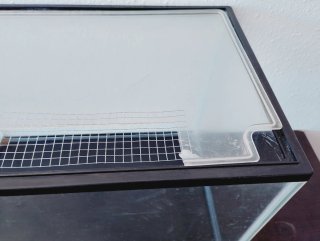 Acuario/Terrario/Hormiguero de cristal