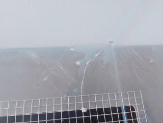 Acuario/Terrario/Hormiguero de cristal