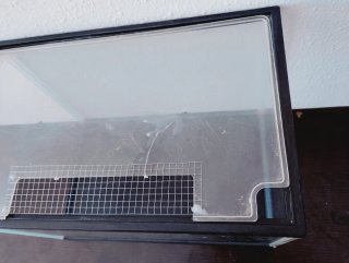 Acuario/Terrario/Hormiguero de cristal