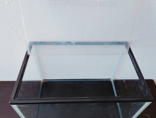 Acuario/Terrario/Hormiguero de cristal