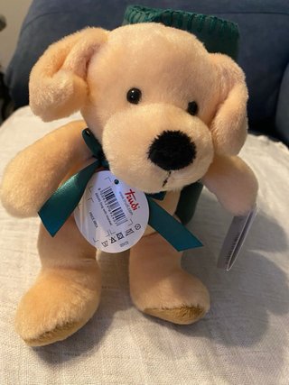 Peluche Perro Trudi con Manta Verde Nuevo