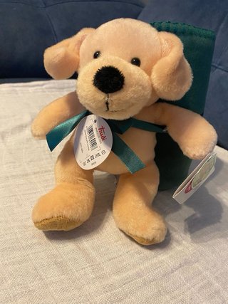 Peluche Perro Trudi con Manta Verde Nuevo