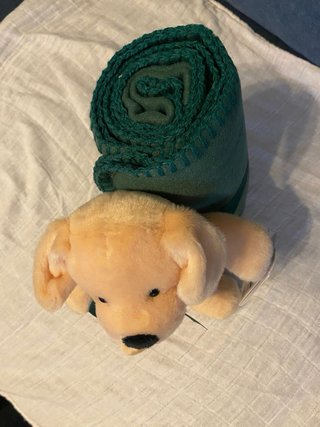 Peluche Perro Trudi con Manta Verde Nuevo