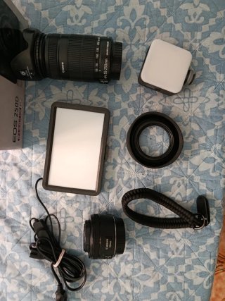 Canon EOS 250D Kit EF-S 18-55 IS STM