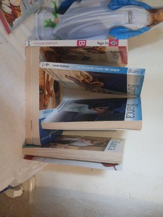 Novela romántica y erotica