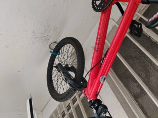 Bicicleta roja