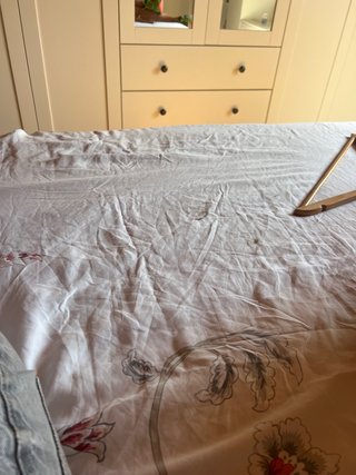 Cama para perro