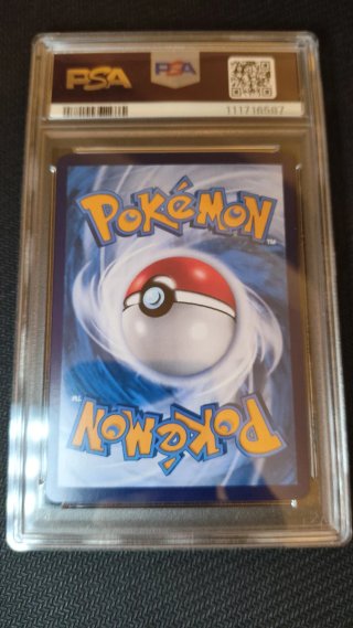 Pikachu ex SAR PSA 10 Kilat Rasi