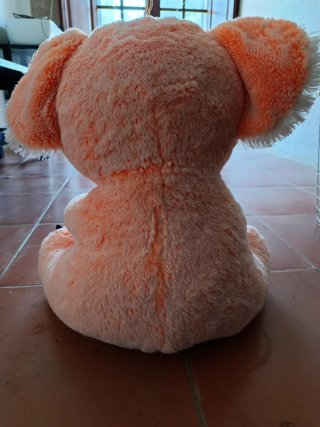 Peluche Koala Rosa Brillante