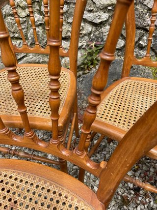 Sillas estilo Napoleón (madera y ratán)