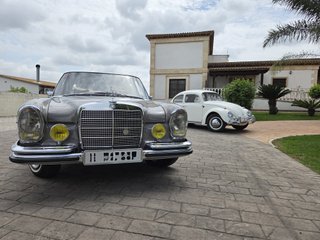 Alquiler Mercedes Clásico