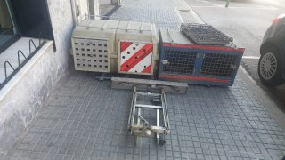 Remolque porta perros