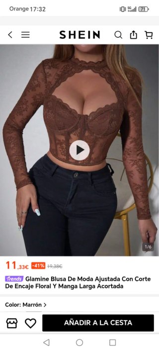 Blusa manga larga encaje marrón