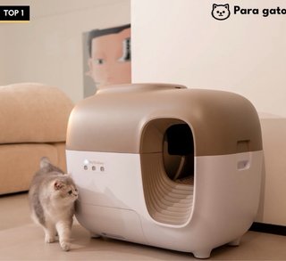 Arenero Autolimpiable SNOW+