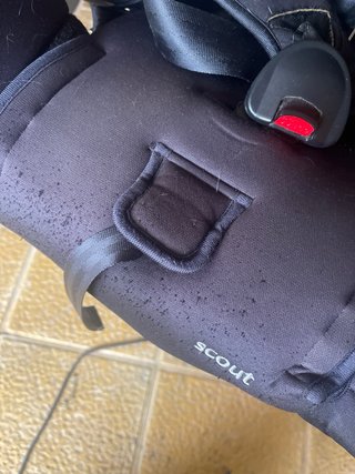 Silla de coche PLAY SCOUT