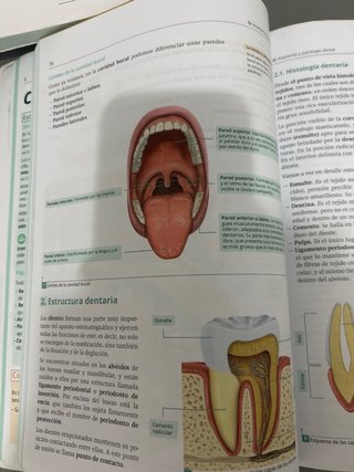 Libro odontologia TCAE