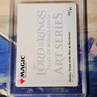 Magic The Gathering LOTR Gradata 10