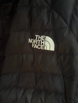 Abrigo The North Face Negro