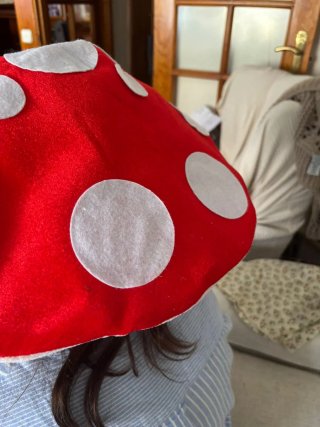 Disfraz Seta Grande y 4 Gorros