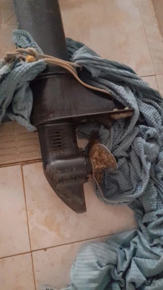 Motor fueraborda Yamaha