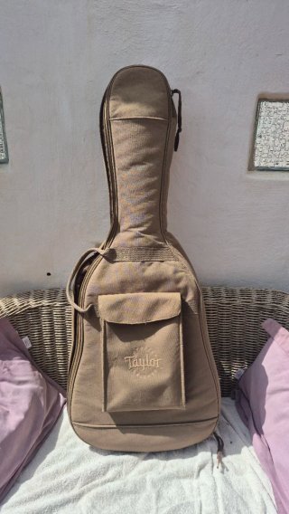 Guitarra Taylor 110 E GB