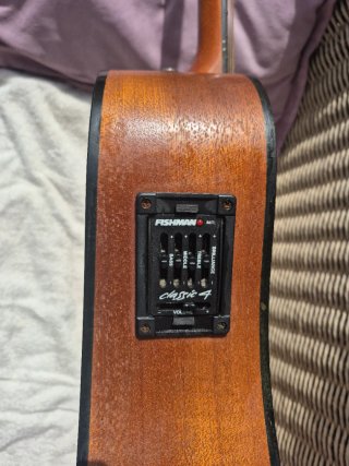 Guitarra Taylor 110 E GB