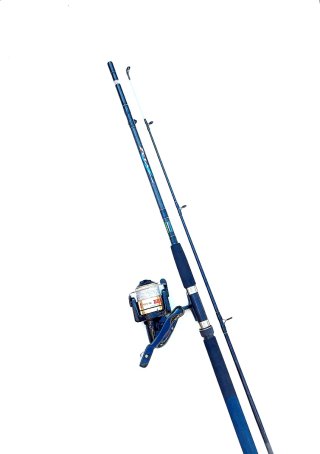 Equipo pesca, CURRICAN, Siluro, Jigging,