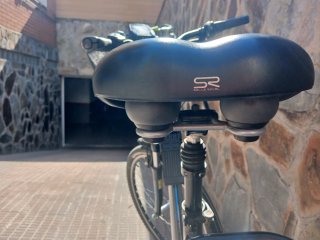 Bicicleta Eléctrica Hercules Bosch