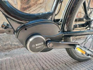 Bicicleta Eléctrica Hercules Bosch