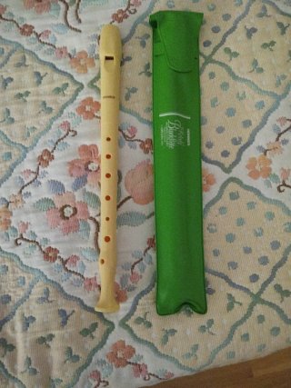 Flauta dulce Hohner con funda verde