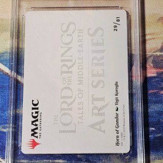 Magic The Gathering LOTR (EN) Gradata 10