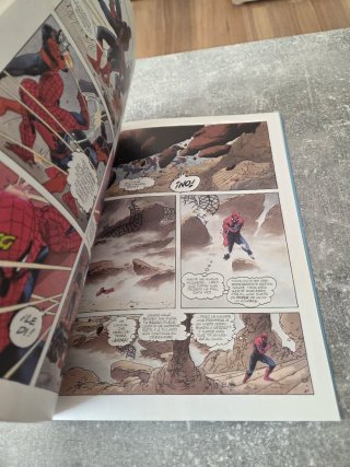 Comic Spiderman 1990 Charles Vess