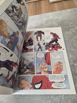 Comic Spiderman 1990 Charles Vess