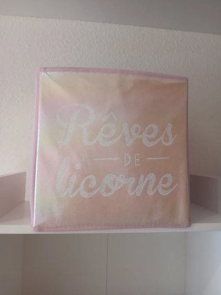 Cajas de ordenación infantiles Rêves de licorne