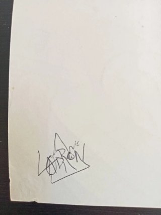 Arte PUNK Fanzine español A5 - originales LADRON.