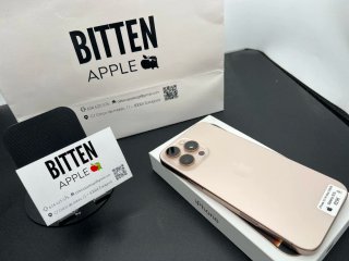 iPhone 16 Pro Max  256GB  Batería 92% // GARANTIA